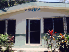 Centro de Desarrollo de la Pesca y la Acuicultura (CENDEPESCA, Oficina central)